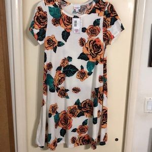 LuLaRoe Jessie Dress